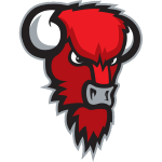 Bisons Loimaa: Team Profile, Roster & History