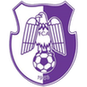 FC Argeș Pitești: Team Profile, Roster & History