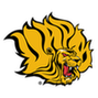 Arkansas Pine Bluff Golden Lions: Team Profile, Roster & History