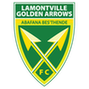 Lamontville Golden Arrows: Team Profile, Roster & History
