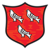Dundalk FC: Team Profile, Roster & History