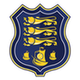 Waterford FC: Team Profile, Roster & History