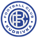 Kudrivka: Team Profile, Roster & History