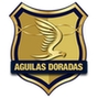 Rionegro Águilas Doradas: Team Profile, Roster & History