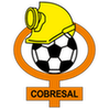 Cobresal: Team Profile, Roster & History