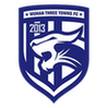 Wuhan Three Towns: Team Profile, Roster & History