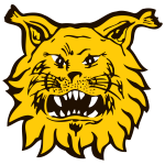 Ilves: Team Profile, Roster & History