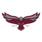 Maryland-Eastern Shore Hawks W: Team Profile, Roster & History